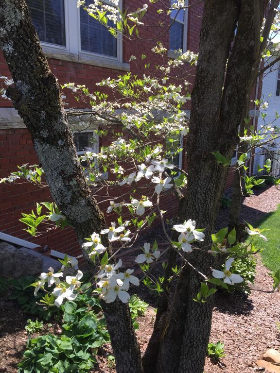 The Collins House Inn Marion エクステリア 写真